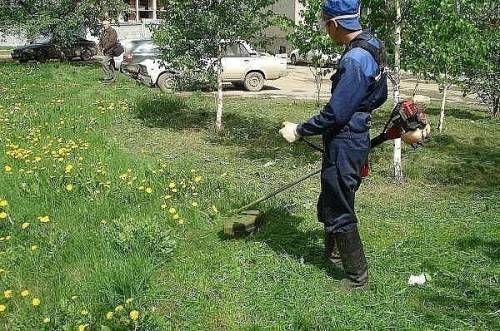 Уборка, благоустройство территории.